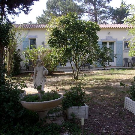 mas des pins Saint-Cyprien (Pyrenees-Orientales) Exterior foto