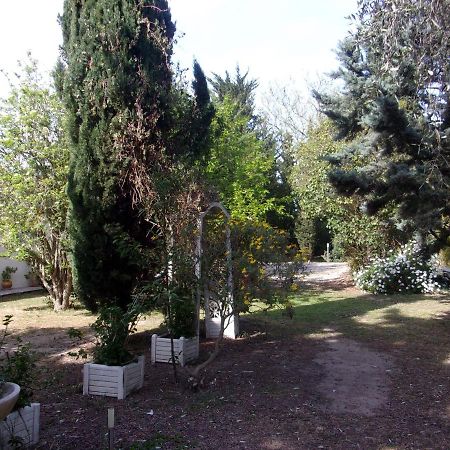 mas des pins Saint-Cyprien (Pyrenees-Orientales) Exterior foto