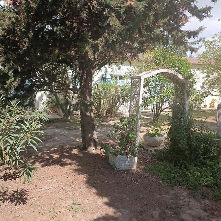 mas des pins Saint-Cyprien (Pyrenees-Orientales) Exterior foto
