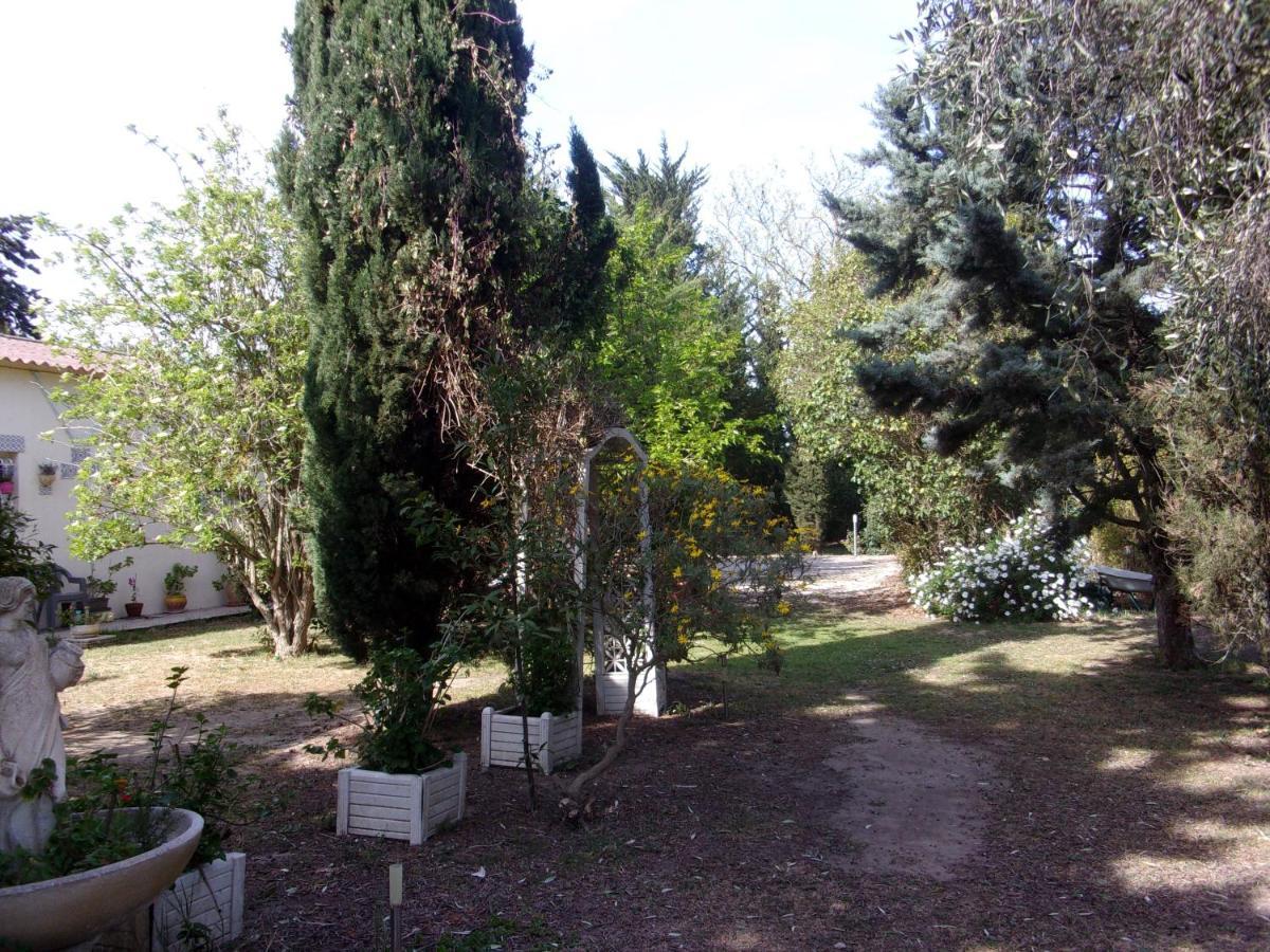 mas des pins Saint-Cyprien (Pyrenees-Orientales) Exterior foto