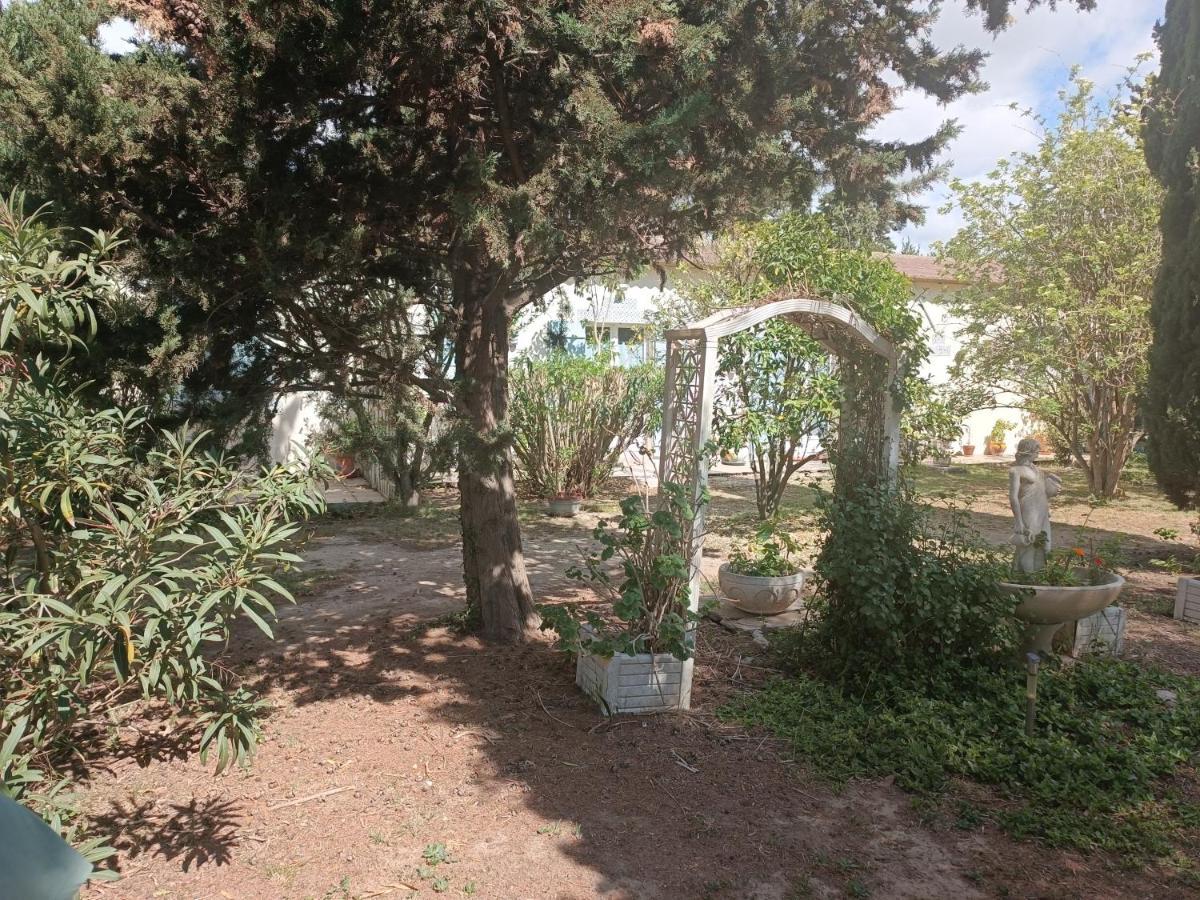 mas des pins Saint-Cyprien (Pyrenees-Orientales) Exterior foto