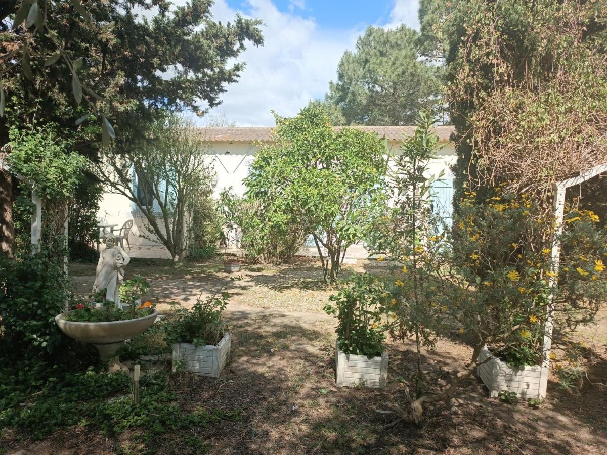 mas des pins Saint-Cyprien (Pyrenees-Orientales) Exterior foto